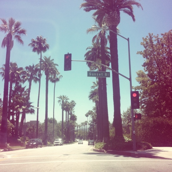 Ann Arbor mama! From LA to Ann Arbor. - Picture 2 of 7